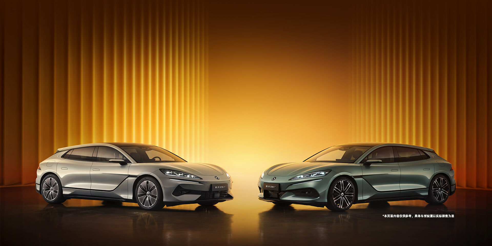 DENZA Z9GT DENZA-Z9GT